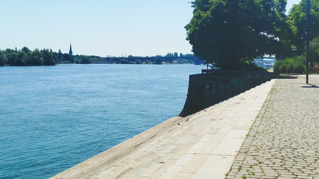 Spaziergänge in Mainz: Die schönsten Routen am Rhein, in Parks und Wäldern 2 Wer Spaziergänge in Mainz sucht, kommt an der Rheinpromenade nicht vorbei.