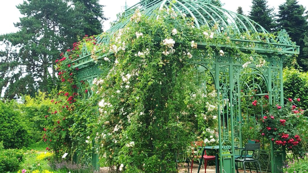 Spaziergänge in Mainz: Die schönsten Routen am Rhein, in Parks und Wäldern 1 Rosenpavillon im Botanischen Garten Mainz.