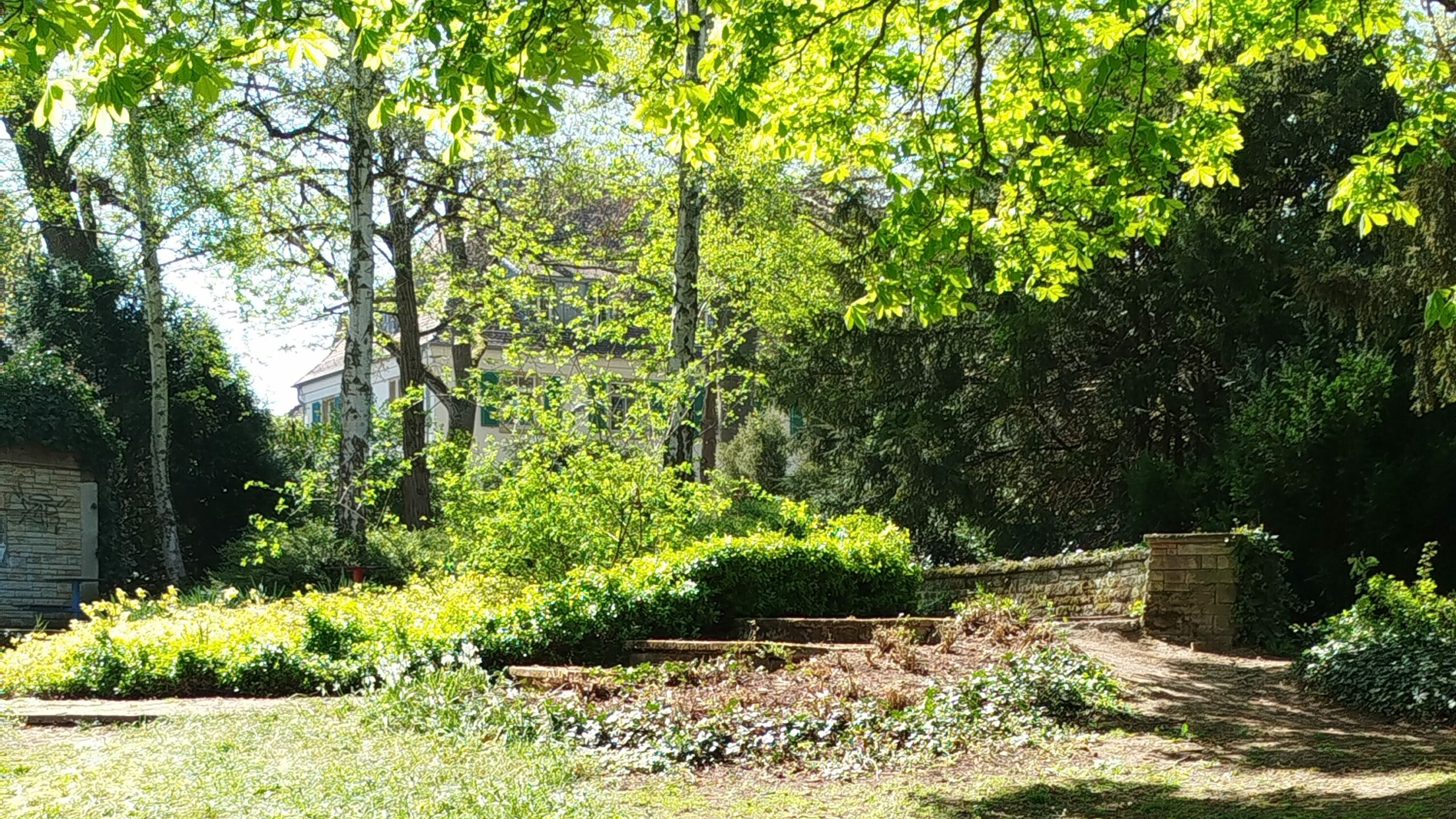 Was kann man in Mainz machen? Die besten Ausflugsziele in Mainz & Umgebung 3 Grün genießen im Stadtpark.