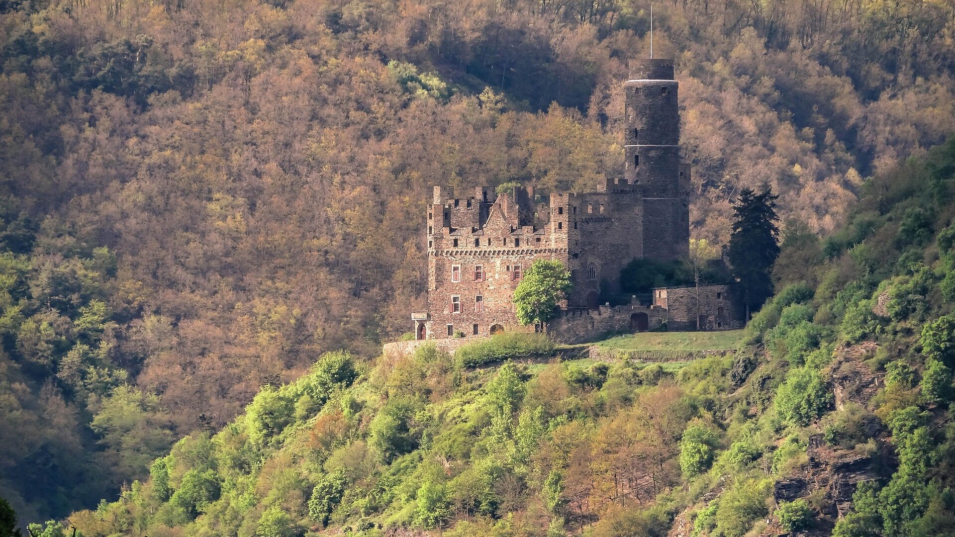 Mainz mit Kindern: Die schönsten Ausflüge, Spielplätze & Schlechtwetter-Tipps 4 Am Rhein gibt es zahlreiche Burgen, wie hier die Burg Maus in St. Goar.