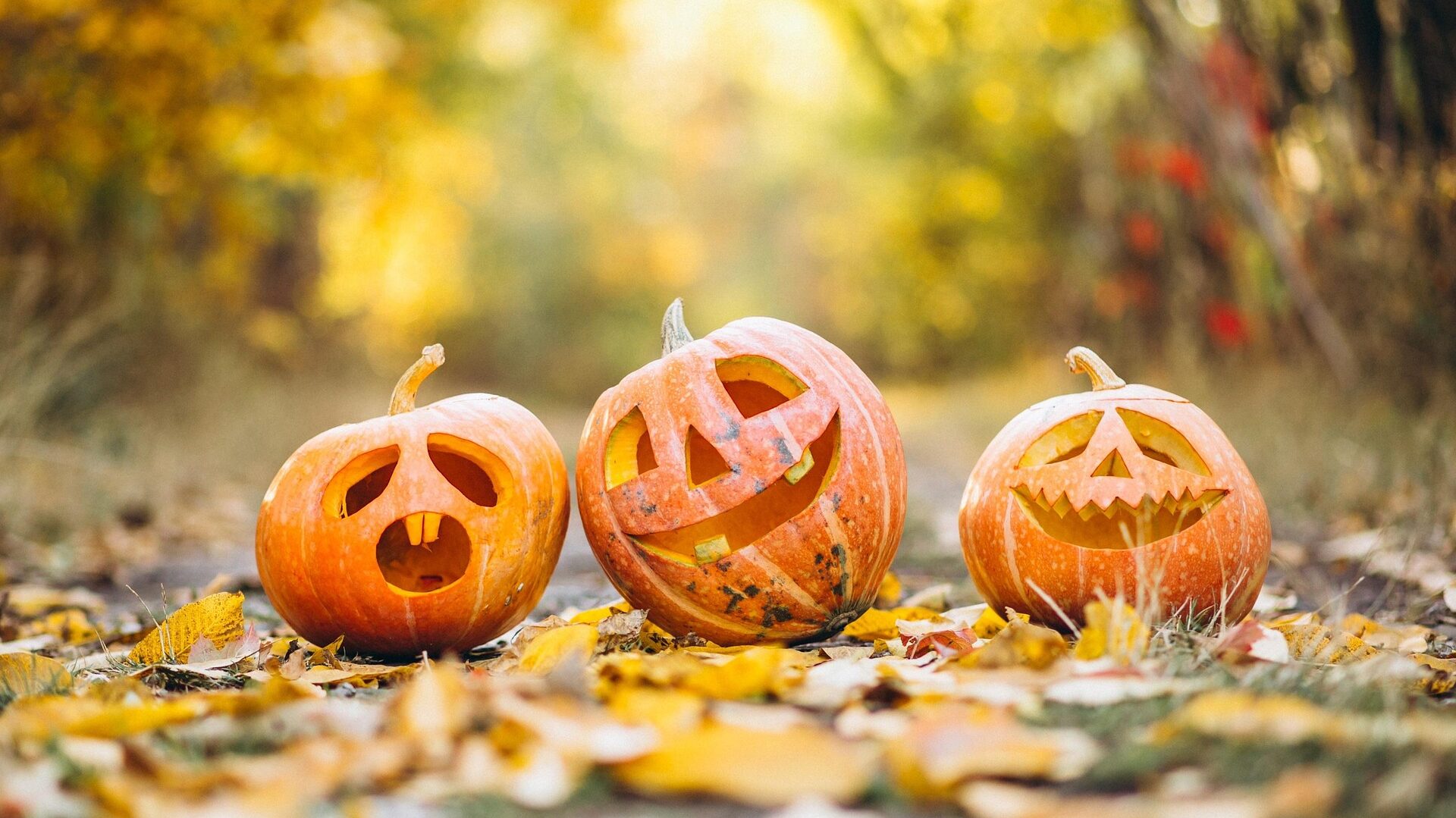 Halloween in Mainz - gruseliger Spaß für Klein und Groß 1 kuerbisse edited