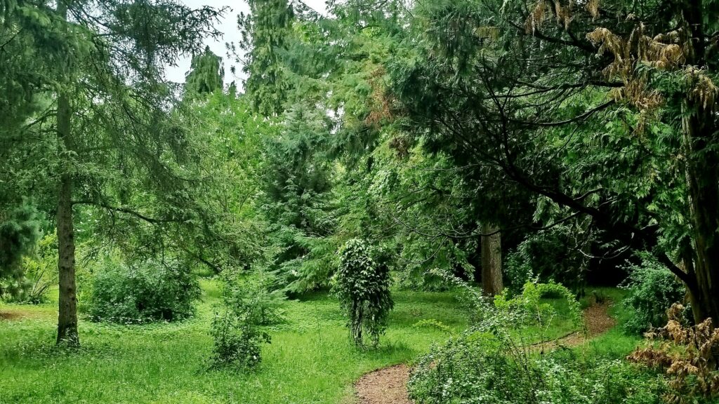 Mainz bei Regen – die besten Tipps für Unternehmungen bei Regenwetter 5 Auch bei leichtem Regen schön: der Botanische Garten der Johannes Gutenberg-Universität.