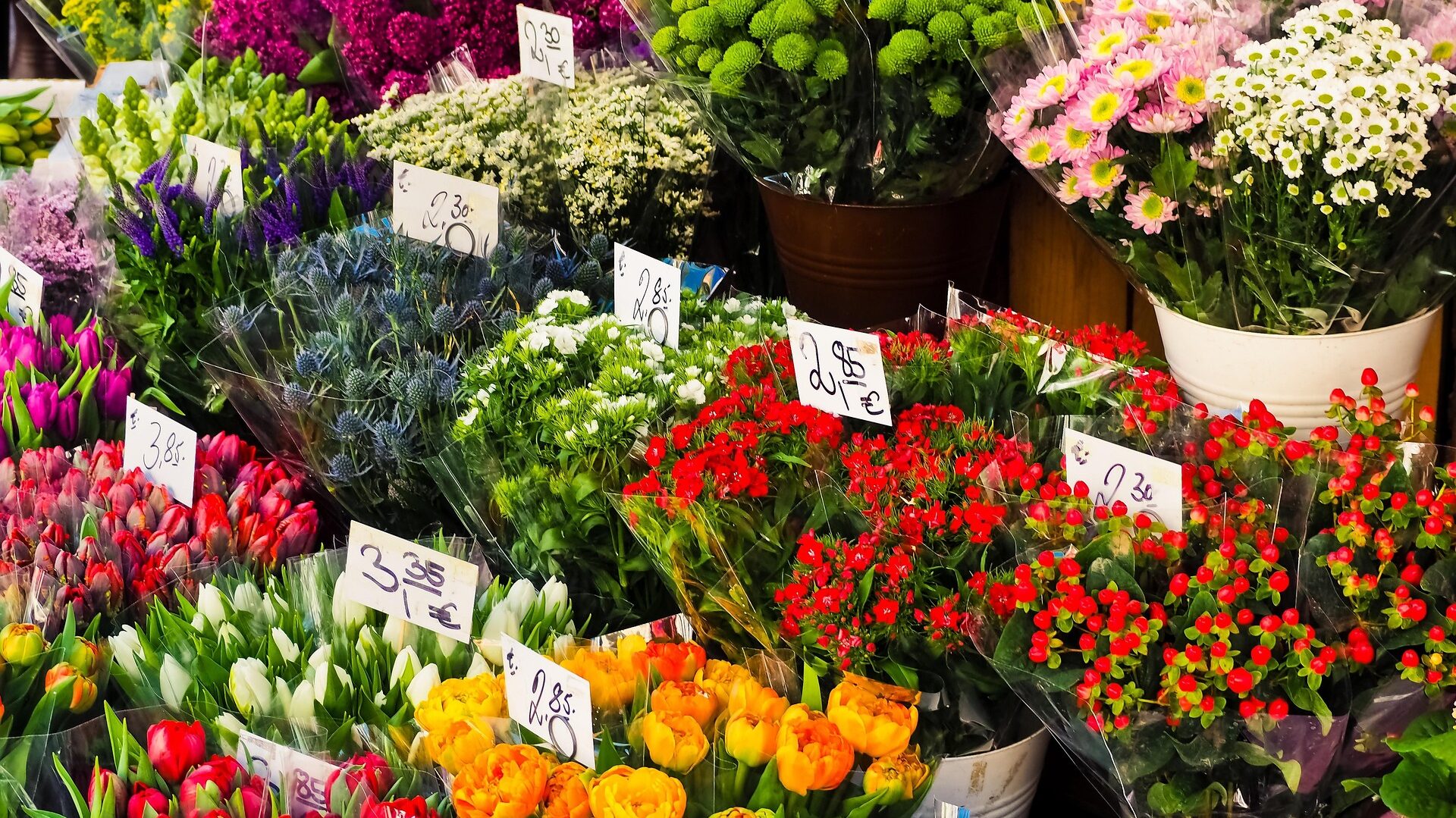 Wochenmärkte in Mainz: Mainzer Wochenmarkt & Stadtteilmärkte im Überblick 2 Auch frische Schnittblumen sowie Kräuter und Pflanzen für Balkon und Garten können Sie hier kaufen.
