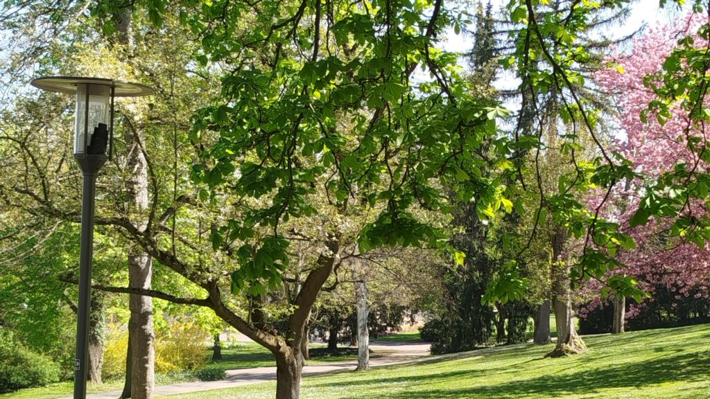 Mainz – Porträt der Landeshauptstadt von Rheinland-Pfalz 6 Naherholung im Stadtpark.