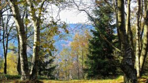 Das Rhein-Main-Gebiet - Die 10 Top Ausflugsziele & mehr 5 taunus feldberg edited
