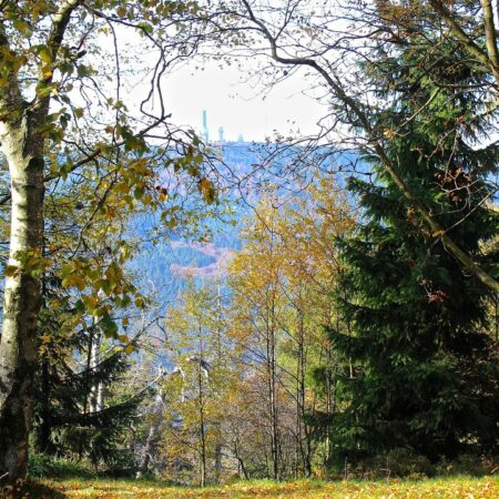Das Rhein-Main-Gebiet – Die 10 Top Ausflugsziele & mehr