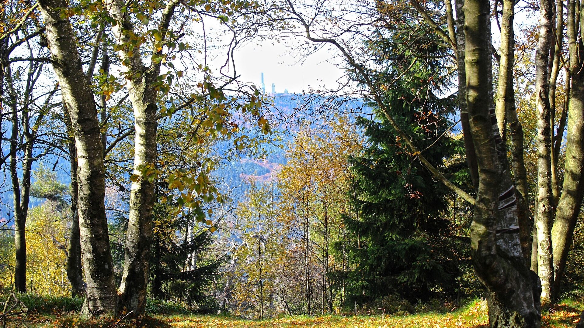 Das Rhein-Main-Gebiet - Die 10 Top Ausflugsziele & mehr 3 Der Feldberg im Taunus.